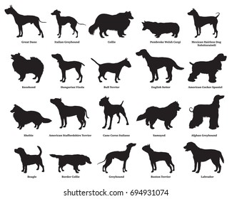 Vector set of different breeds dogs silhouettes isolated in black color on white backround. Part 2 