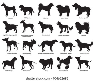Vector set of different breeds dogs silhouettes isolated in black color on white backround. Part 3