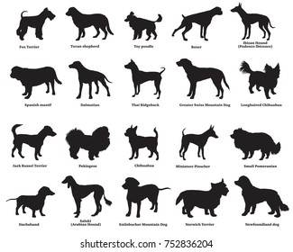 Vector set of different breeds dogs silhouettes isolated in black color on white background. Part 4