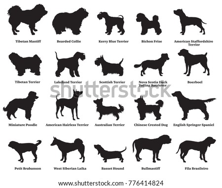 Vector set of different breeds dogs silhouettes isolated in black color on white background. Part 5