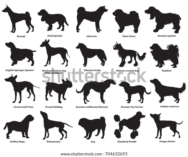 Vector Set Different Breeds Dogs Silhouettes Stock Vector (Royalty Free ...