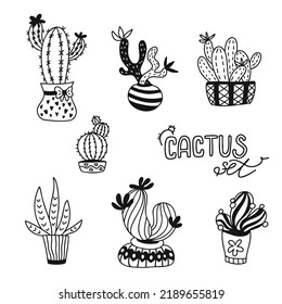 Vector set of different cactuses in a pots hand drawn in doodle style in a black and white colors