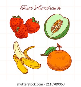 vector set of different color hand-drawn fruit illustration (strawberry, watermelon, banana, orange)