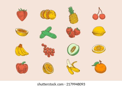 vector set of different color hand-drawn fruit illustrations