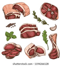 Vector set of different color meats in sketch style. Vector illustration for your design