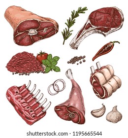 Vector set of different color meats in sketch style. Vector illustration for your design
