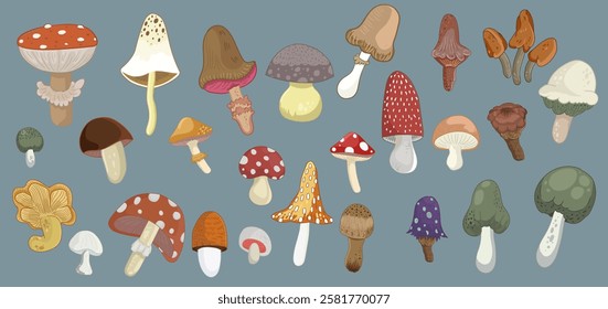 Vector set of different cute mushrooms with smiling faces. Fabulous mushroom collection in cartoon style.