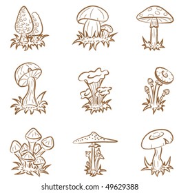 Vector set of different cute mushrooms