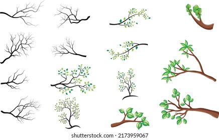 vector set Different design of branches illustration on white background