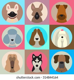 Vector set of different dog breeds app icons in flat style