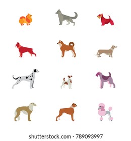 Vector Set of different Dog Breeds. Dalmatian, Terrier, Shiba Inu, Dachshund, Shepherd, Poodle, Russian Greyhound, Spitz, Boxer, etc.