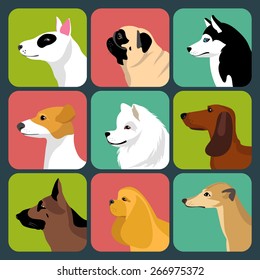 Vector set of different dogs icons in trendy flat style