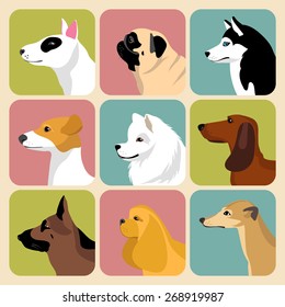 Vector set of different dogs icons in trendy flat style