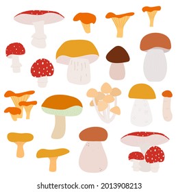 Vector set with different edible and non-edible mushrooms isolated on white background. Flat food illustration.