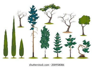 Vector set of different evergreens and trees