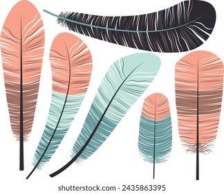 Vector set of different feathers in flat style isolated on transparent background.