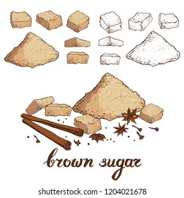 Vector set of different forms of brown sugar and composition with brown sugar , cinnamon and clove. Hand drawn elements for food design.