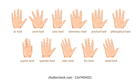 Vector Set Different Forms Palms Palmistry Stock Vector (Royalty Free ...