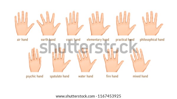 Vector Set Different Forms Palms Palmistry Stock Vector (Royalty Free ...