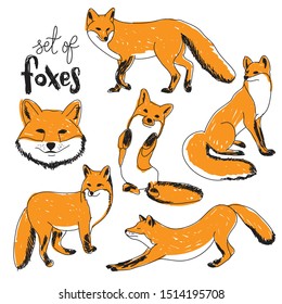 Vector set of different foxes. Sketch of black foxes isolated on white background. Outline illustration for your design.