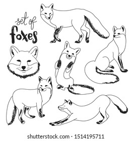 Vector set of different foxes. Sketch of black foxes isolated on white background. Outline illustration for your design.
