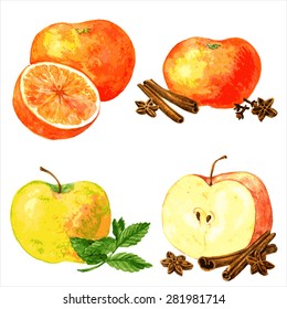 vector set of different fruits and spices, four food composition painting by watercolor, apples and oranges and cinnamon sticks, anise seeds and mint leaves, drawing by aquarelle at white background