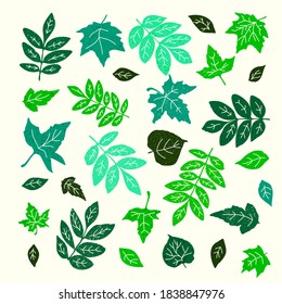 Vector set of different green leaves. Spring composition.                     