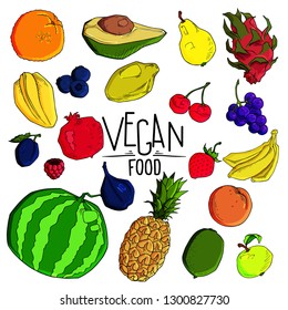 vector set of different hand drawn fruit