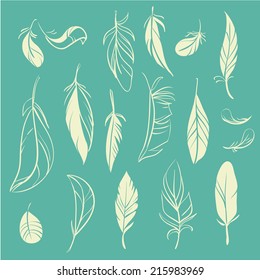 Vector set of different hand drawn feathers 