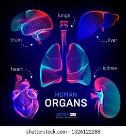 Vector set of different human inner organs contour or wireframe for medical infographics in abstract 3d geometry lines texture and outline gradient waves graphic design illustration on dark background