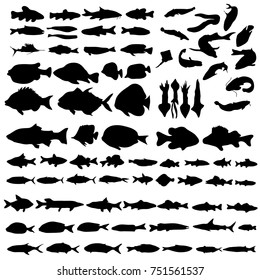 vector set of different kinds of fish