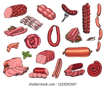 Vector set of different meat products in sketch style. Sausages, ham, bacon, lard, salami. Vector illustration for your design