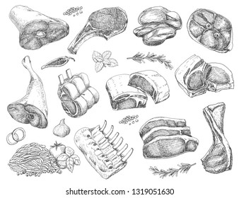 Vector set of different meats in sketch style. Vector illustration for your design