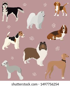 Vector Set Different Middle Sized Dog Breeds  Siberian Husky Eskimo Dog Basset Hound Beagle Collie Shepherd Airedale Whippet Bedlington Terrier Paw Prints Soft Red Background