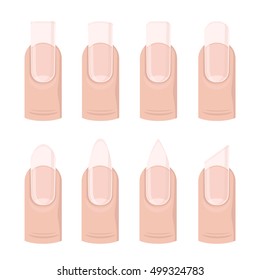 Vector set of different nails shape, manicure style. Beauty spa salon illustration with fingernails for women and girls