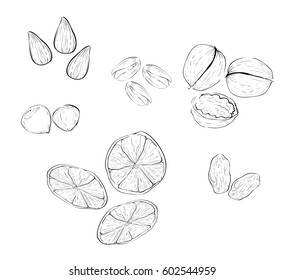 Vector set 
different nutrition sketches, nuts and dried fruits