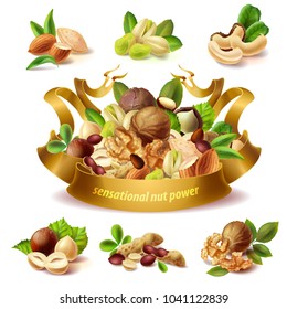 Vector set of different nuts, hazelnuts, peanuts, almond, pistachio, walnuts, cashew, whole kernels, halves, isolated on background. Mix of peeled nuts with golden ribbon for label, package design