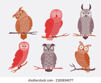Vector set of different owls