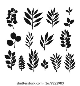 vector set of different plant leaves and branches, ink sketch, hand drawing, black silhouette