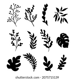 vector set of different plant leaves and branches, ink sketch, hand drawing, black silhouette. Vector silhouette collection of leaves and herbs. Botanical silhouette collection. Flowers, branches