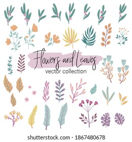 Vector Set of different plants isolated on white. Flowers and leaves collection for creating branding projects, logos, handmade craft items, web pages, magazine illustrations, notebook and book covers