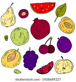 Vector set of different ripe fruits: apples, pear, pomegranate, plum, apricot, cherry, watermelon. hand drawing, abstract. For textiles, packaging, fabric, print clothes, menu