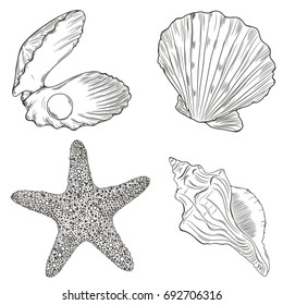 Vector set with different seashells