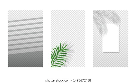 Vector set of different shadows overlay on transparent background. Shadows of palm leaf, strips and tropical leaves on sheet of paper. Abstract background with copy space for text, offer.