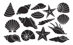 Vector Set Of Different Shells Isolated On White Background