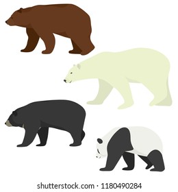 Vector set of different species of bears. Brown bear, polar bear, american black bear and giant panda. Colorful bears collection.