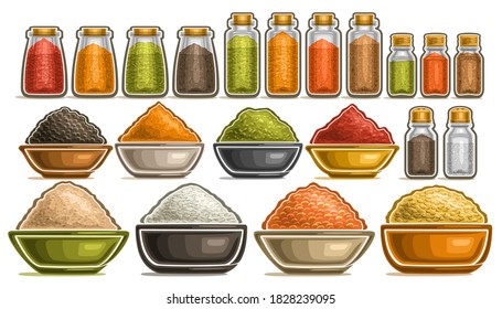 Vector Set of different Spices, collection of isolated illustrations with healthy cereals in pots, diverse fresh hot spices in dishes, group of assorted dried seasonings in glass containers on white.