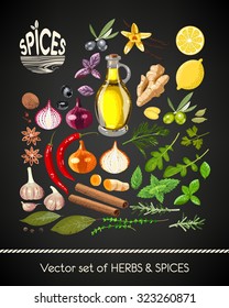 Vector set of different spices and herbs