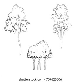 vector set of different trees.
outline sketch