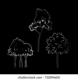 vector set of different trees
outline sketch